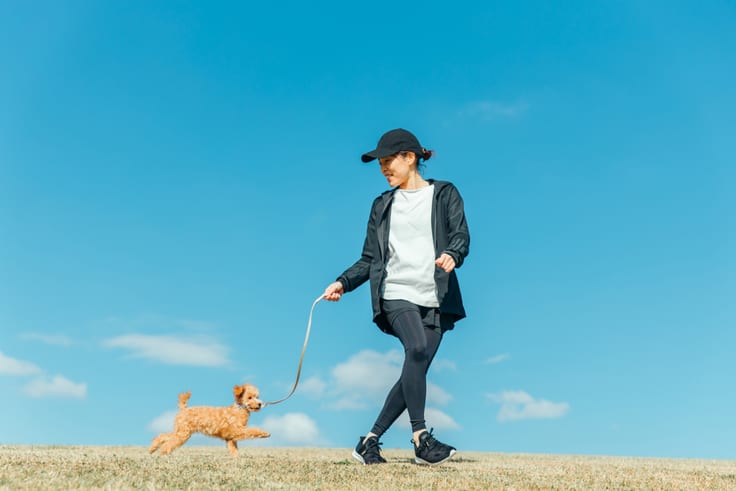 散歩する飼い主と愛犬