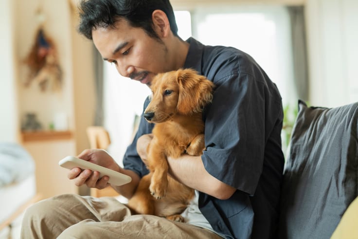 愛犬を抱く飼い主