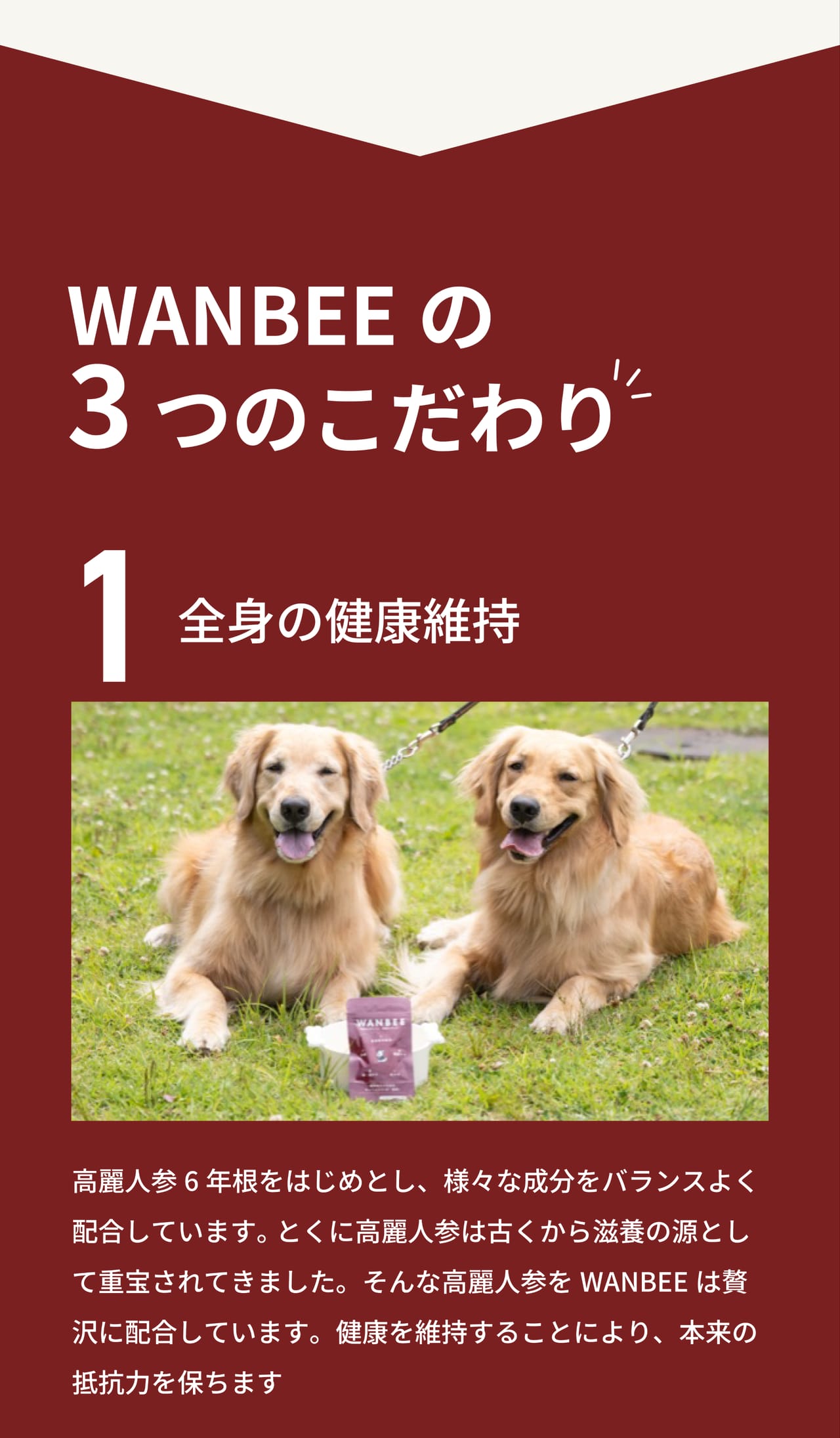 WANBEEの3つのこだわり 1 全身の健康維持。高麗人参6年根を配合